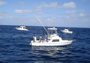 Private Pleasure Trip 31ft Boat 5 pax Capacity