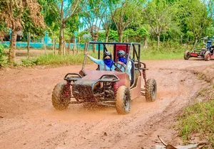 Punta Cana Jungle Buggy Tour: Macao Beach Visit and Cenote Swim