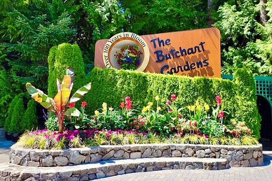 Malahat SkyWalk & Craigdarroch Castle: Newest and Oldest (1-6pax)