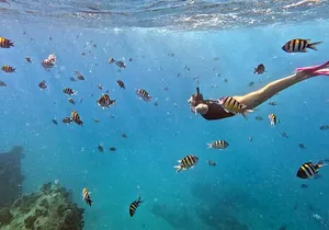 Kona Snorkeling Adventure Open Charter