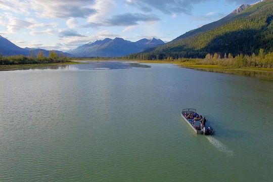 Chilkat River Jet-Boat Adventure from Skagway