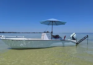 4 hour Fishing Charter with a Tampa Native