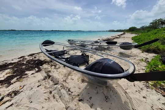 Clear Kayak Mangrove Eco Tour