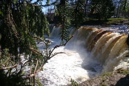 Charming half-day trip over North-Western Estonia