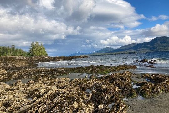 Ketchikan Alaska private tour