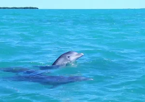 Private Sian Kaan Biosphere Tour