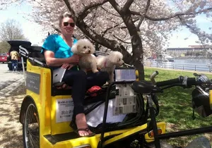 Grand Monuments & Memorials Tour