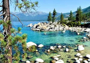 San Francisco to Yellowstone and Las Vegas 7-Day Tour