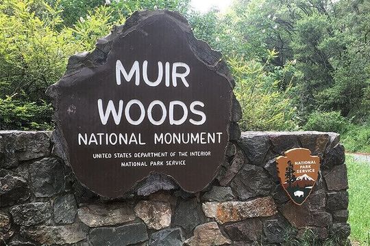 Muir Woods & Sausalito: Small Group Experience
