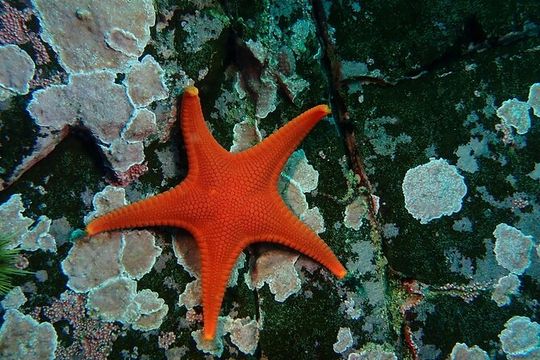 Aquarium Behind the Scenes at Sitka
