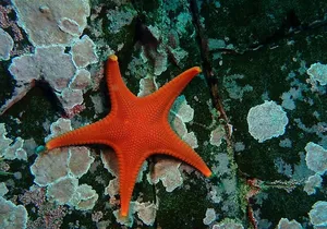 Aquarium Behind the Scenes at Sitka