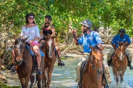 Private Horseback Riding, Swimming and Blue Hole Falls Tour