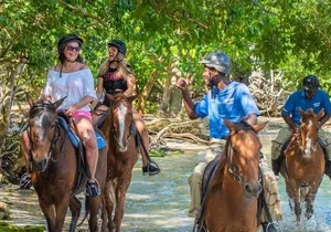 Private Horseback Riding, Swimming and Blue Hole Falls Tour
