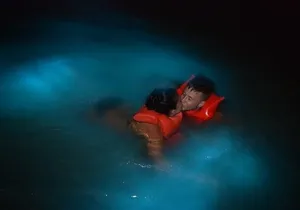 Luminous Lagoon Night Cruise From Montego Bay