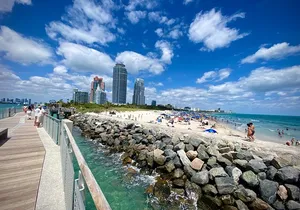 Postcard Views of Miami in 4 Hours by Car and on Foot