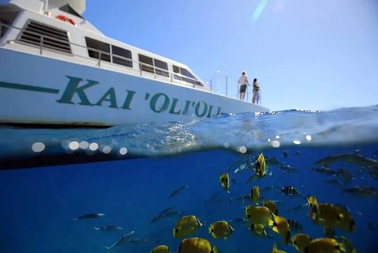 Private and Luxurious Sunset Cruise with Whale & Dolphin Watch