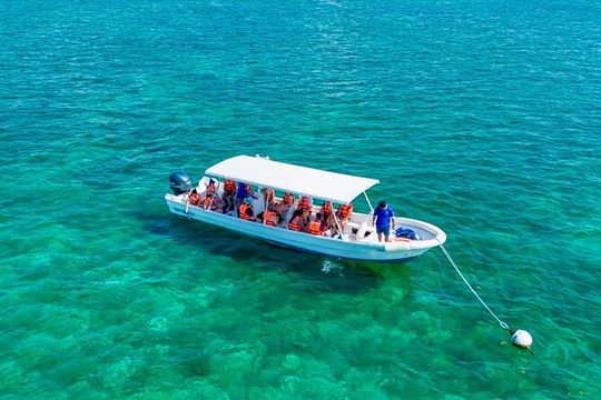 Private Tour Reefs and Corals Puerto Morelos Snorkel Lunch