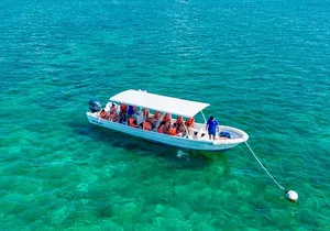 Private Tour Reefs and Corals Puerto Morelos Snorkel Lunch