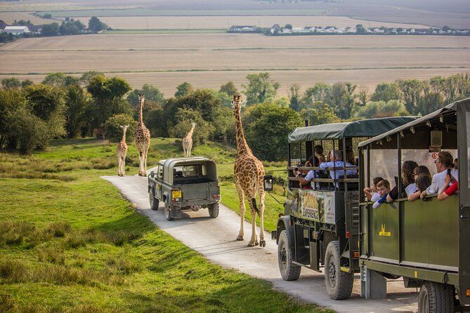 Blue Mountains Private Tour- Main attractions -Pick up & Drop off