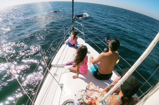 4-Hour Private Whale Watching in Puerto Vallarta