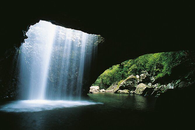 Gold Coast Day Tour From Brisbane