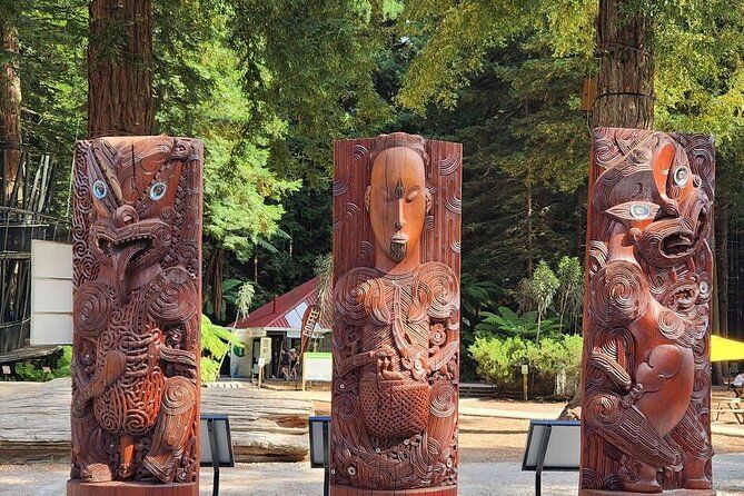 Rotorua Private Tour from Tauranga (up to 18 people)