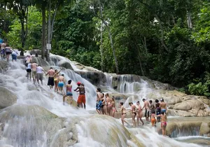 Combo Tour: Dunn's River Falls And Horse Back Riding