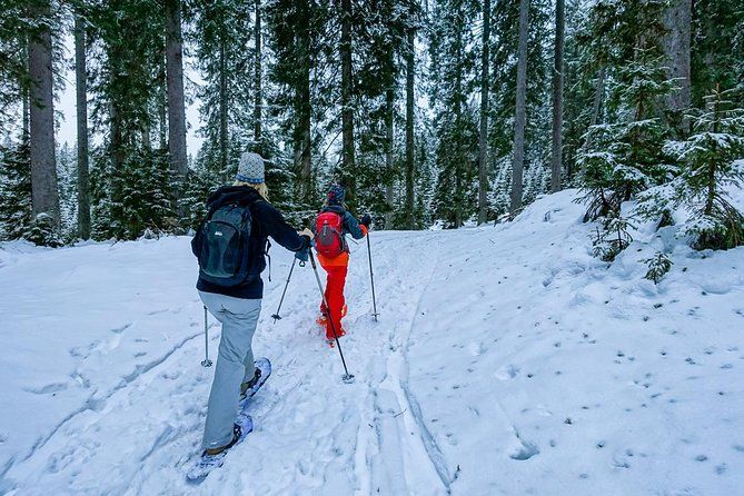 Snowshoeing in Triglav national park