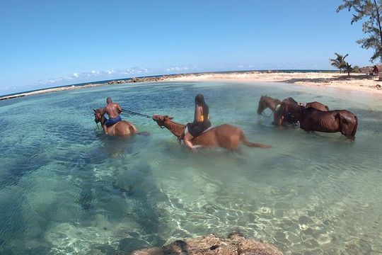 Horseback ride n Swim