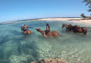 Horseback ride n Swim