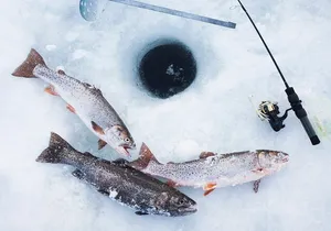 Ice Fishing Tour from Fairbanks