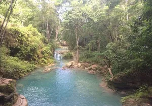 Blue Hole - Turtle Park From Ocho Rios