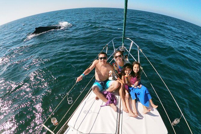 4-Hour Private Whale Watching in Puerto Vallarta