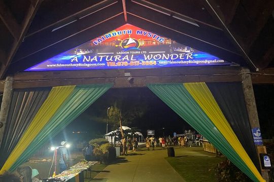 Luminous Lagoon Night Tour from Montego Bay