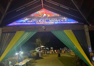Luminous Lagoon Night Tour from Montego Bay