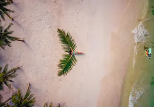 Beach Angel Palm Drone Photoshoot