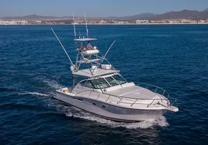 Half Day Afternoon Fishing Charter Cabo San Lucas
