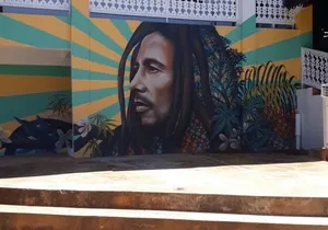 Bob Marley Nine Mile Sightseeing Tour from Falmouth