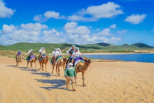 Camel Ride & ATV Combo in Migriño, Mexico