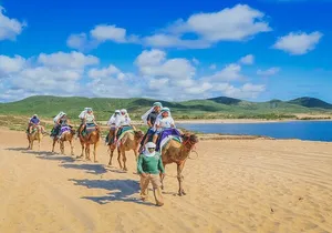Camel Ride & ATV Combo in Migriño, Mexico