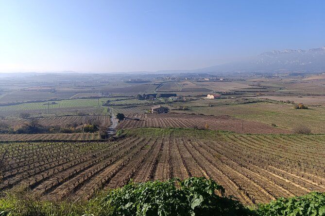 3 Day 2 Night Private Tour to Rioja From Madrid