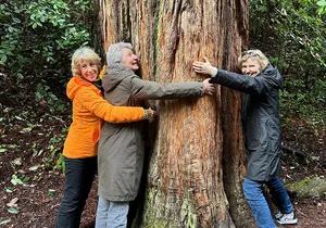 Private Muir Woods Tour Via Luxury Tesla