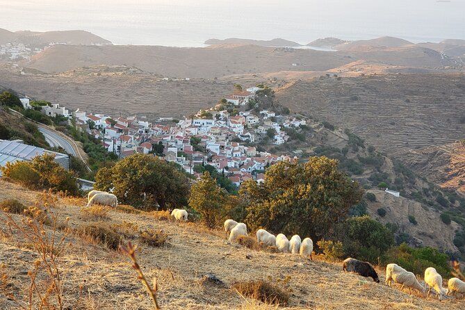 Private 2-Day Tour in Kea Island and Meet the Lion