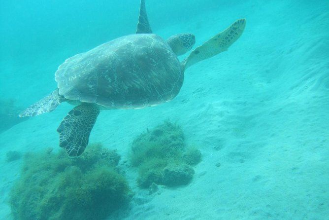 Martinique South Island Private Tour