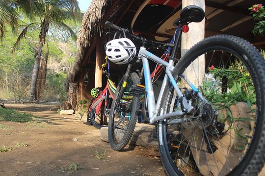 Mountain Bike Tours