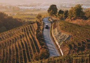 6-hour Private Luxury SUV Wine Tour in Napa Or Sonoma Valley