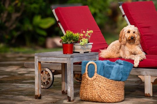 Pueo Farm Tour (1.5 hr) Upcountry Kula Maui Hawaii