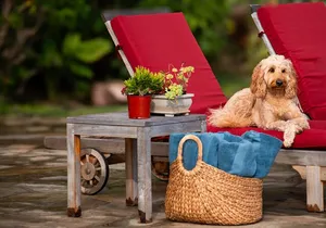 Pueo Farm Tour (1.5 hr) Upcountry Kula Maui Hawaii