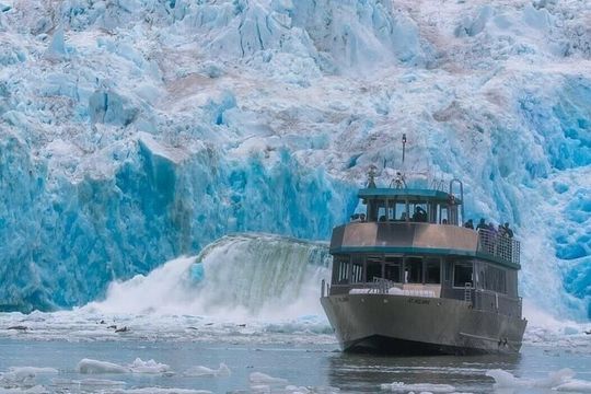 Tracy Arm Fjord and Glacier Explorer from Juneau