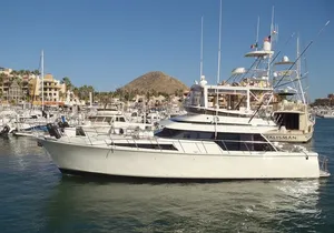 Private Yacht for Snorkel, Sunset or Whale Watching